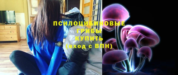 винт Ельня