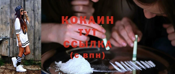 винт Ельня