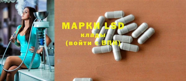 винт Ельня