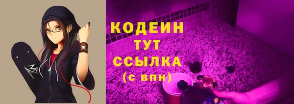 дурь Елабуга