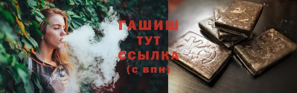 винт Ельня