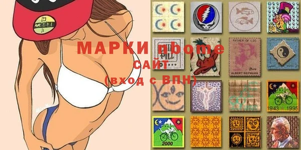 винт Ельня