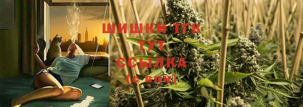 дурь Елабуга