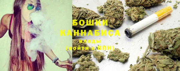 ALPHA PVP Елизово