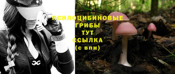 дурь Елабуга