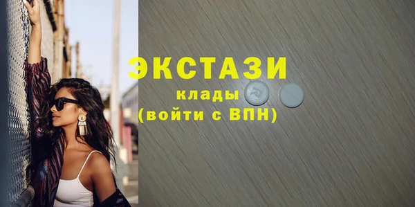 винт Ельня
